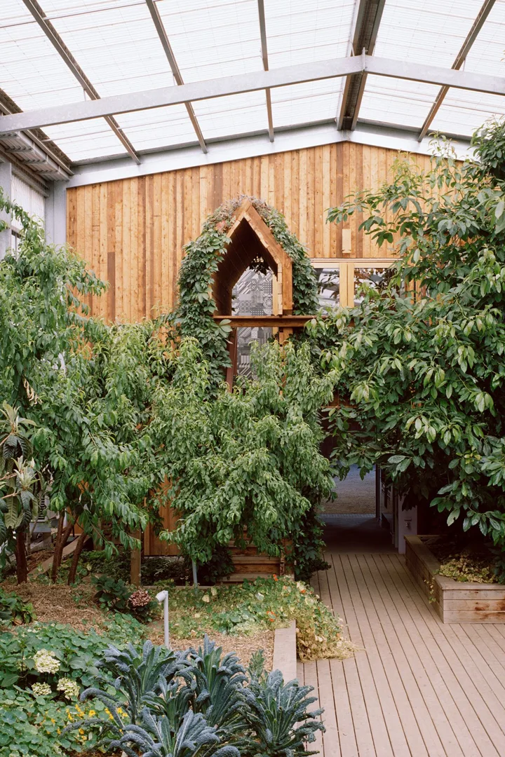 Long-House-Australia-Partners-Hill-Garden