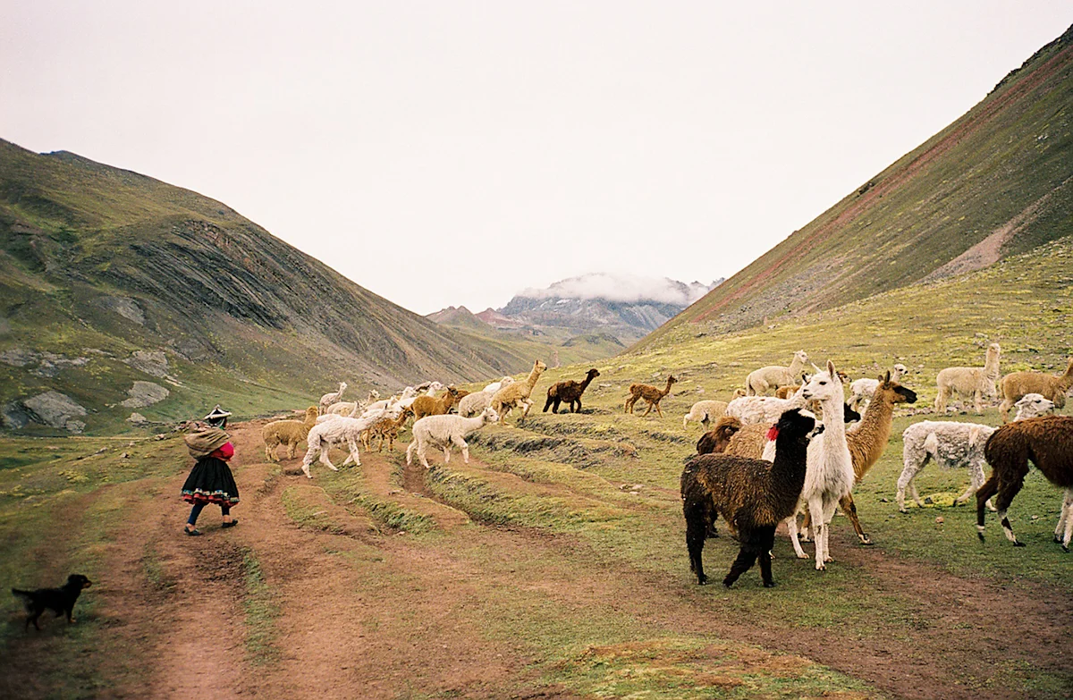 Rainbow-Mountain-Trek-Peru-29