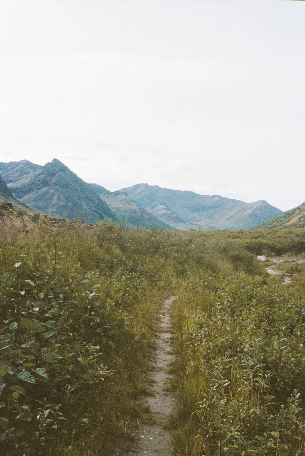 C-Mongeau-Hatcher-Pass-3