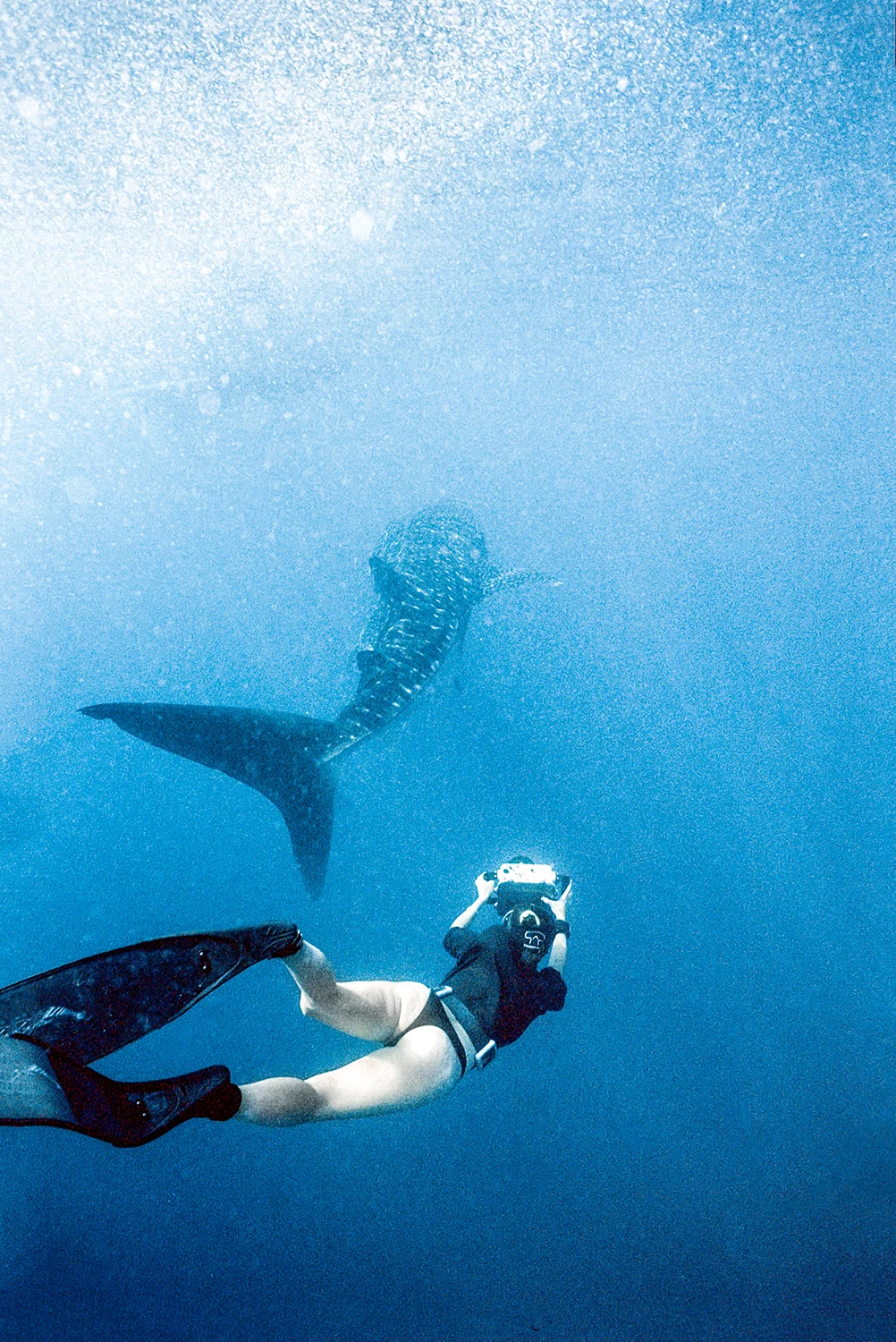 Danny-Nieves-Maldives-Dive-Nikonos-3