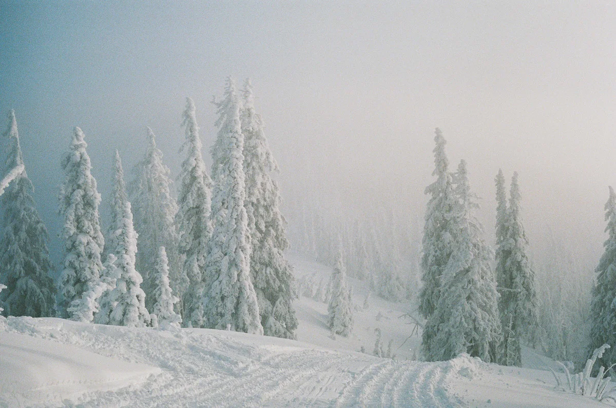 taylor-burk-powder-highway-BigRedCatSkiing8