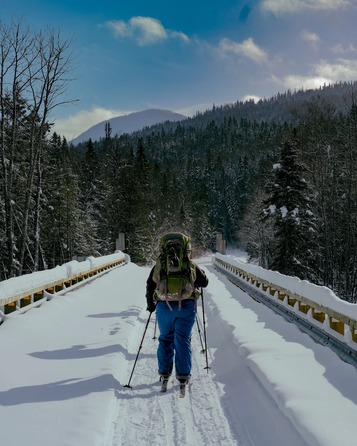 miguel-mcsongwe-chic-chocs-winter-adventure-nordic-ski
