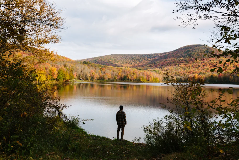 19 Best Catskills Cabin Rentals in Upstate New York