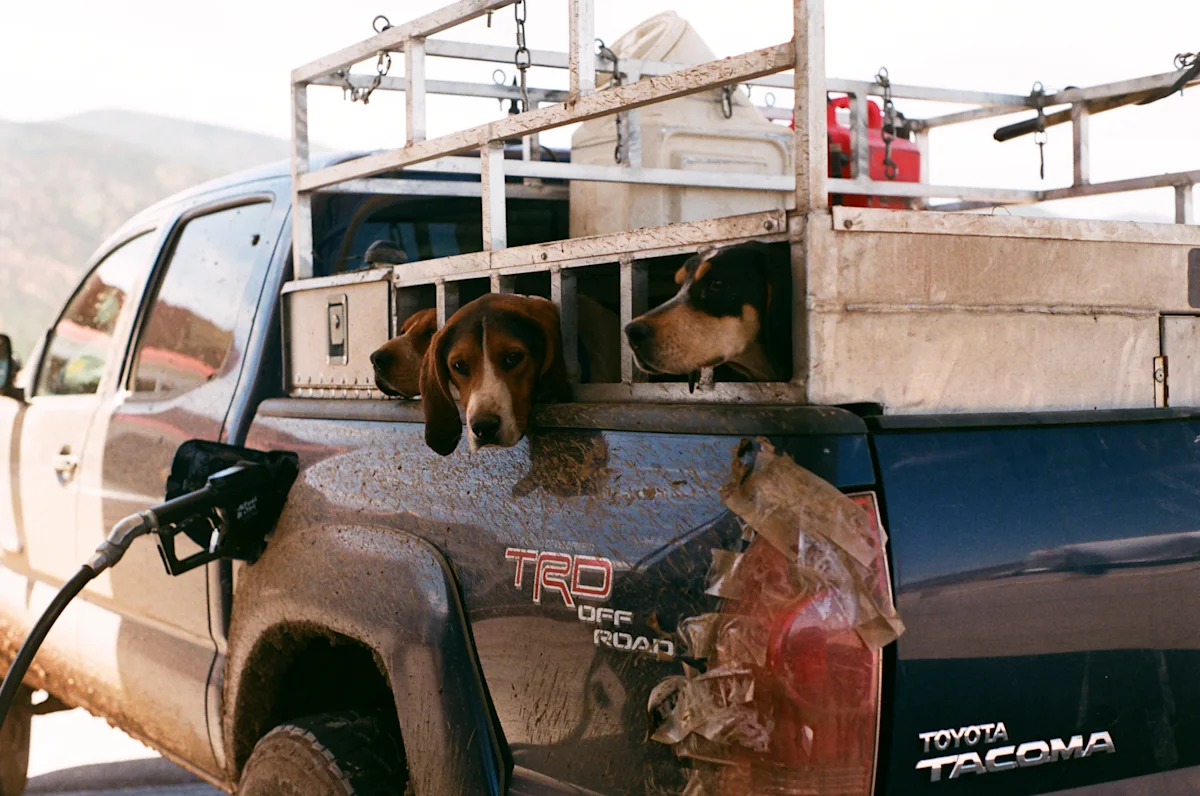 linnea-bullion-zion-road-trip-34
