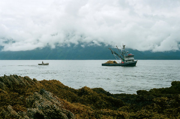 What It's Like to Fish for Salmon in Alaska as a Greenhorn