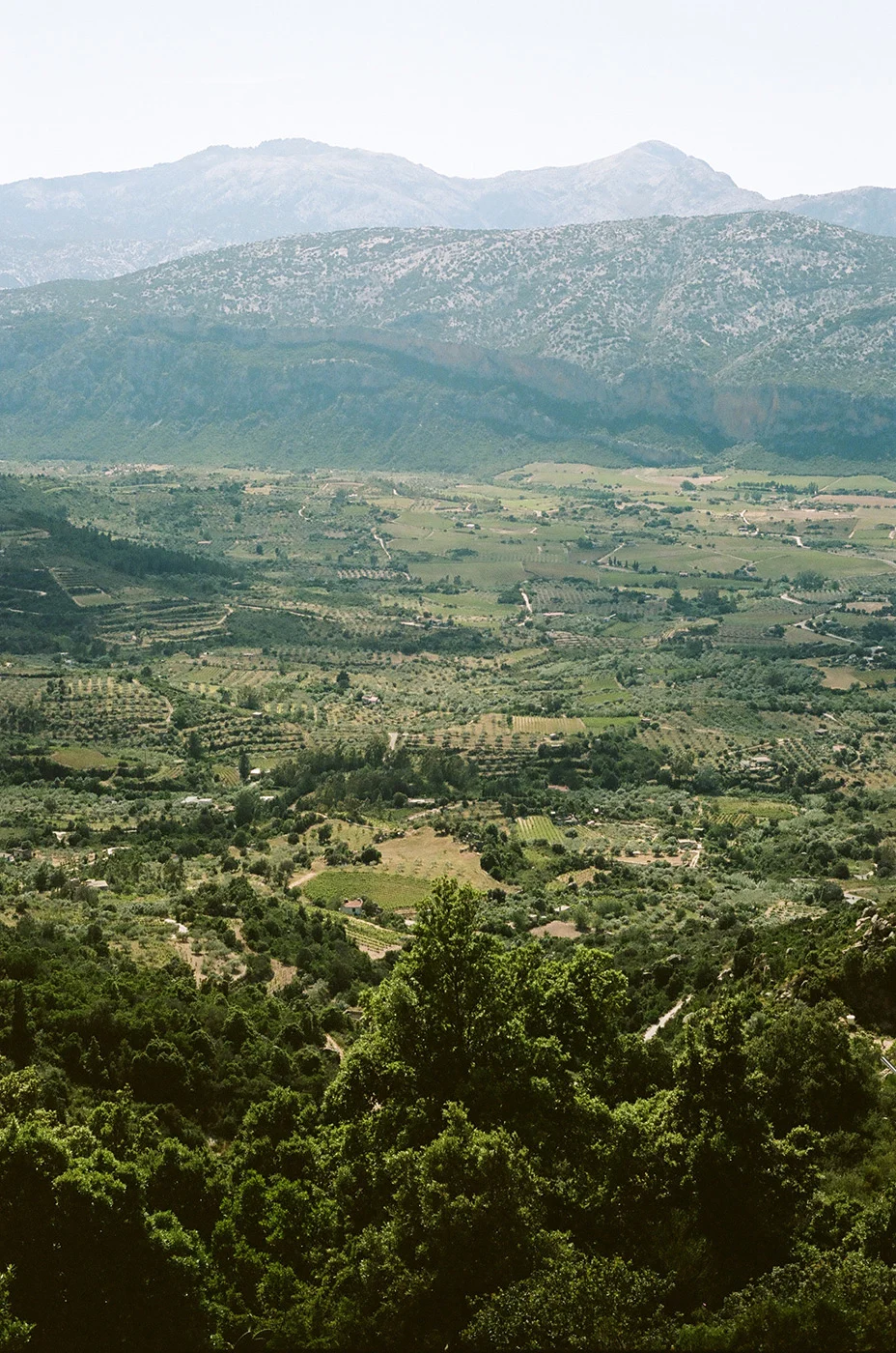 Mcinnis-Sardinia-Guide-FieldMag-1