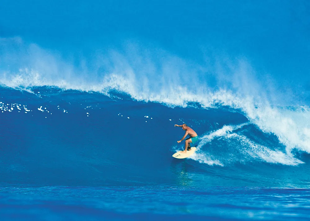 Let My People Go Surfing, 10 More Years of Business Unusual