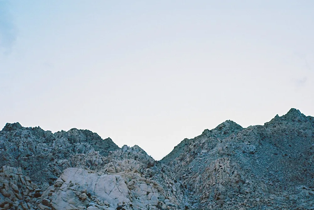 Exploring Indigo Landscapes in Joshua Tree National Park