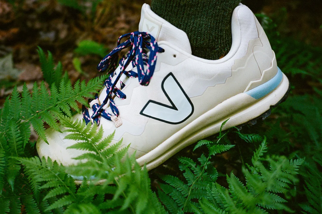 veja-fitz-roy-eastwind-catskills-ferns