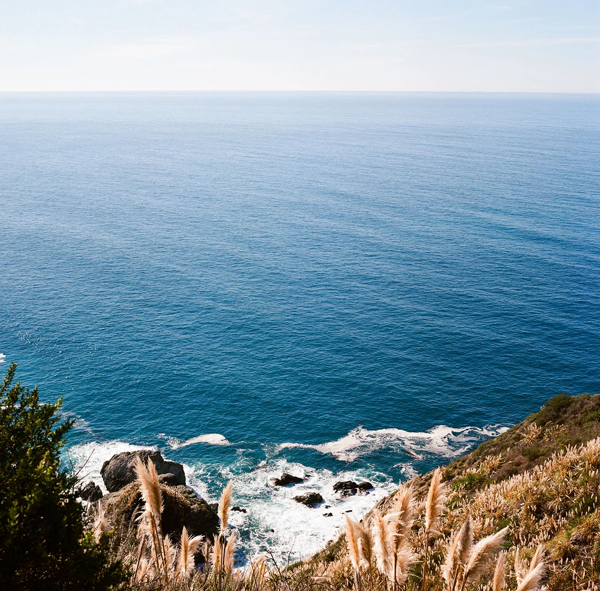 Ethan-Covey-Cali-Sq8-35mm-Fieldmag