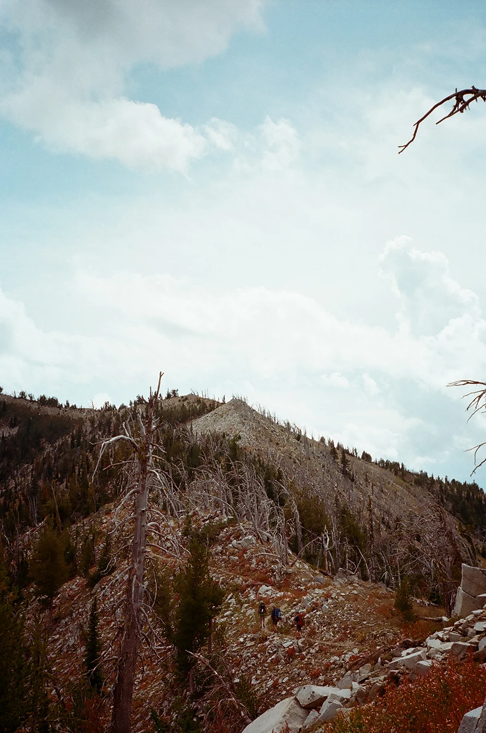 Hiemstra-Hike-2019-Elkhorns-Fieldmag-16
