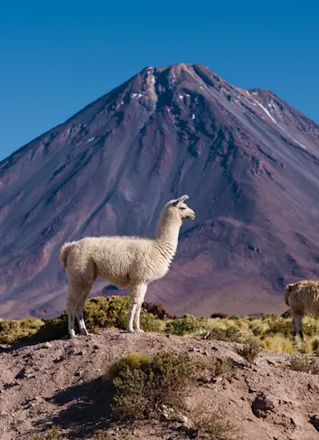 South America at Elevation