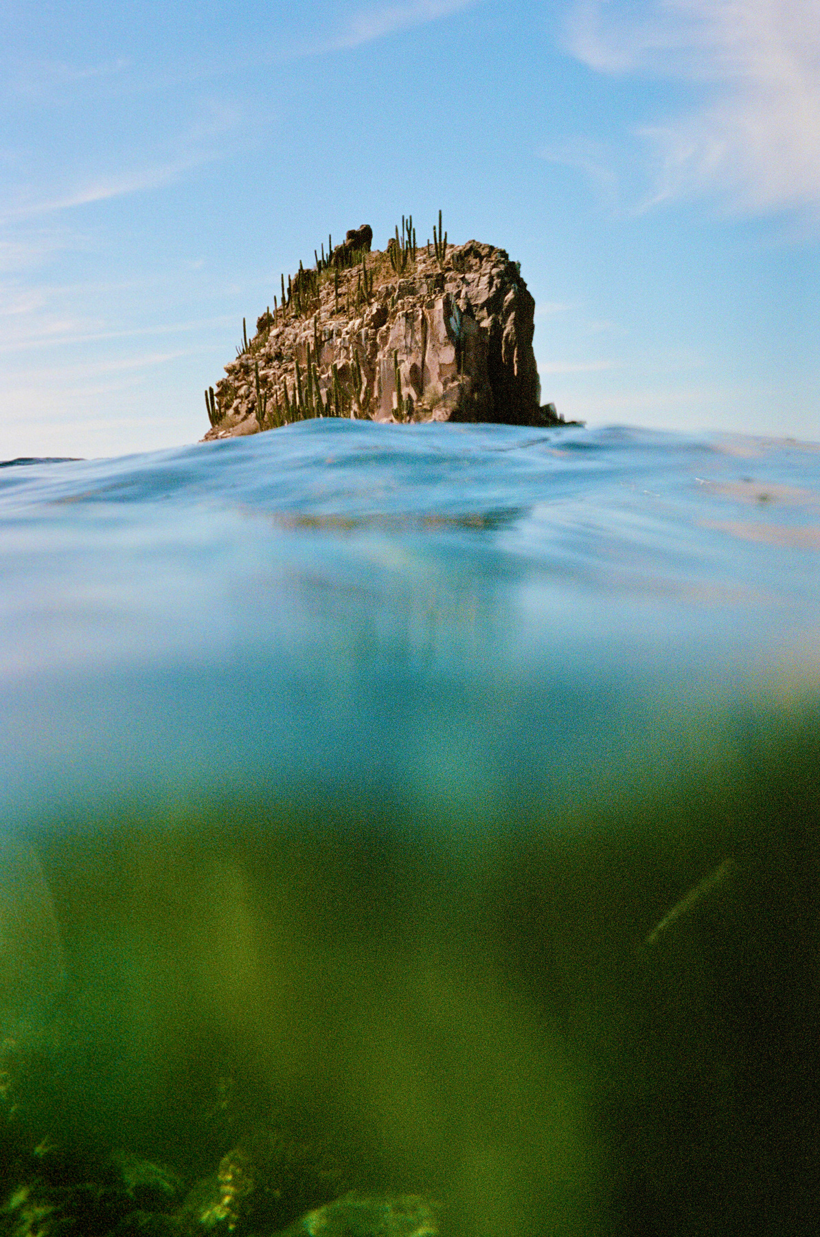 Why We Should Broaden Our Definition of Wilderness to Include the Ocean