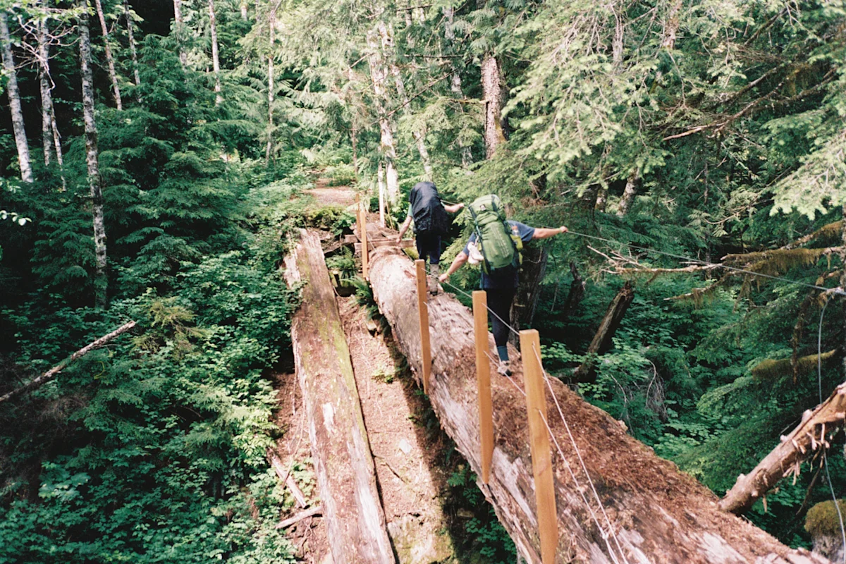 shane-auckland-Colby-Madeline-log-bridge