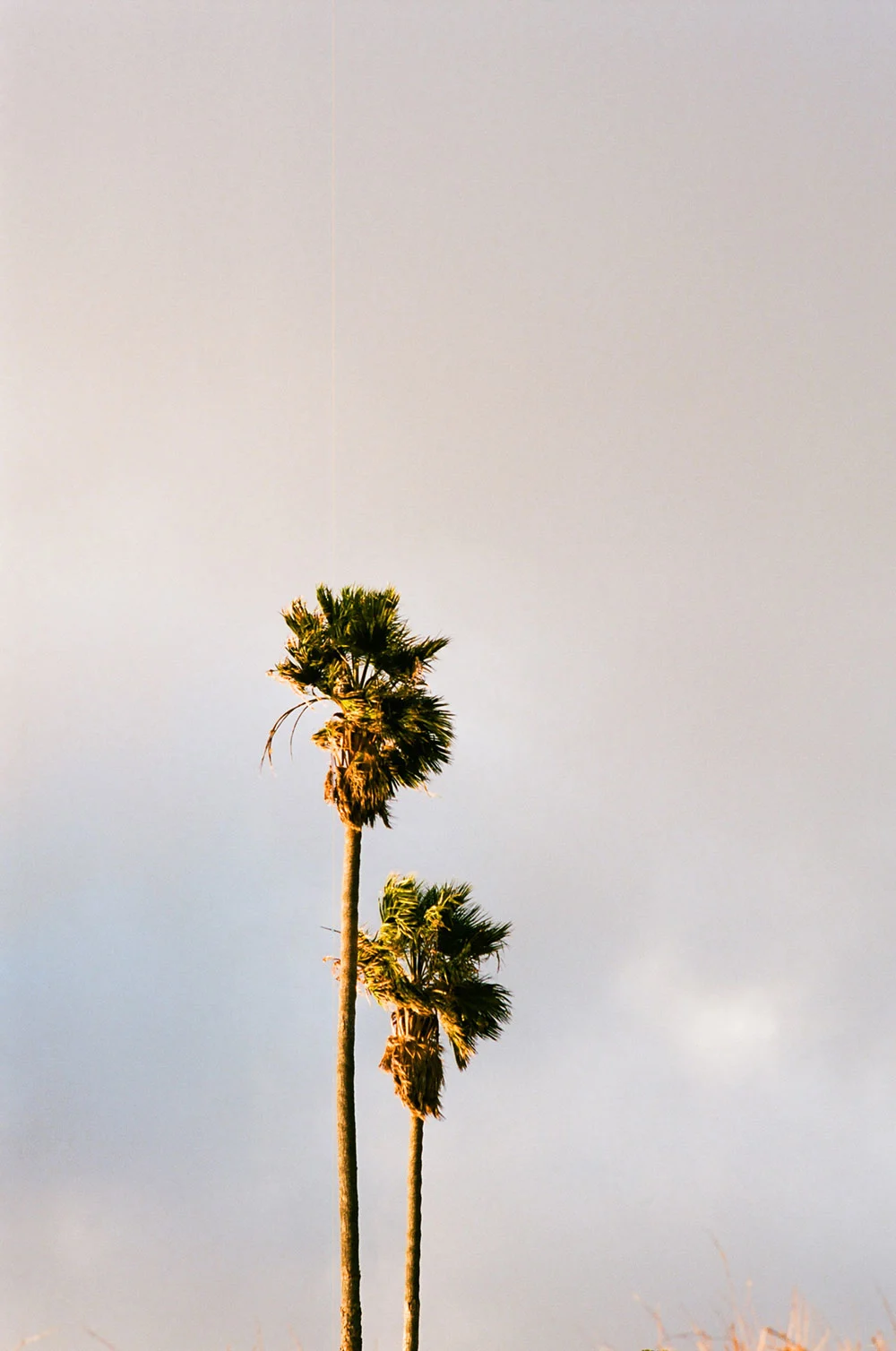 Vic-Garcia-CA-Desert-16