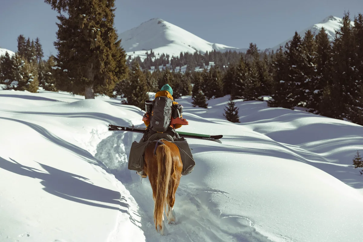 joey-sackett-kyrgyzstan-ski-guide-horse-with-skis
