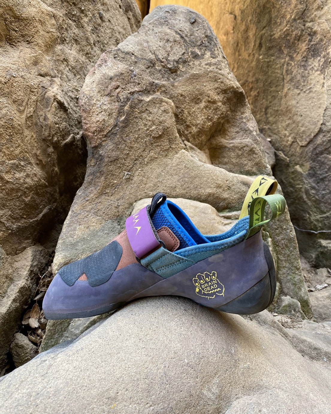 Evolv ashima climbing store shoes