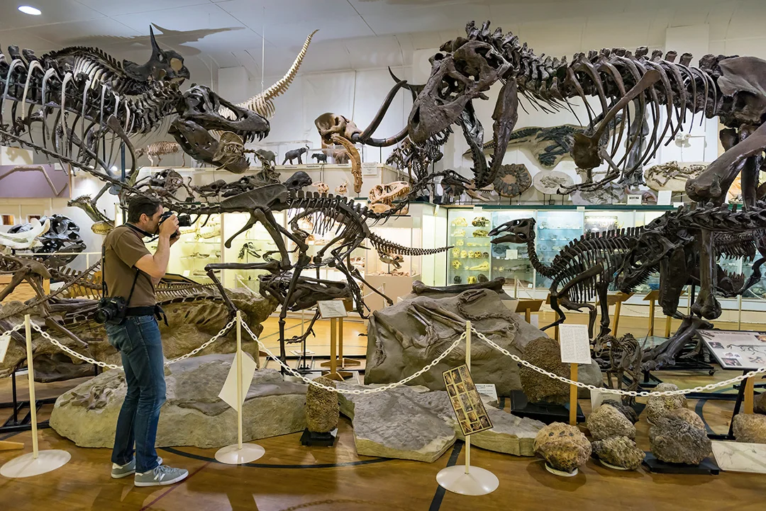 South-Dakota-Things-to-Do-Black-Hills-Institute