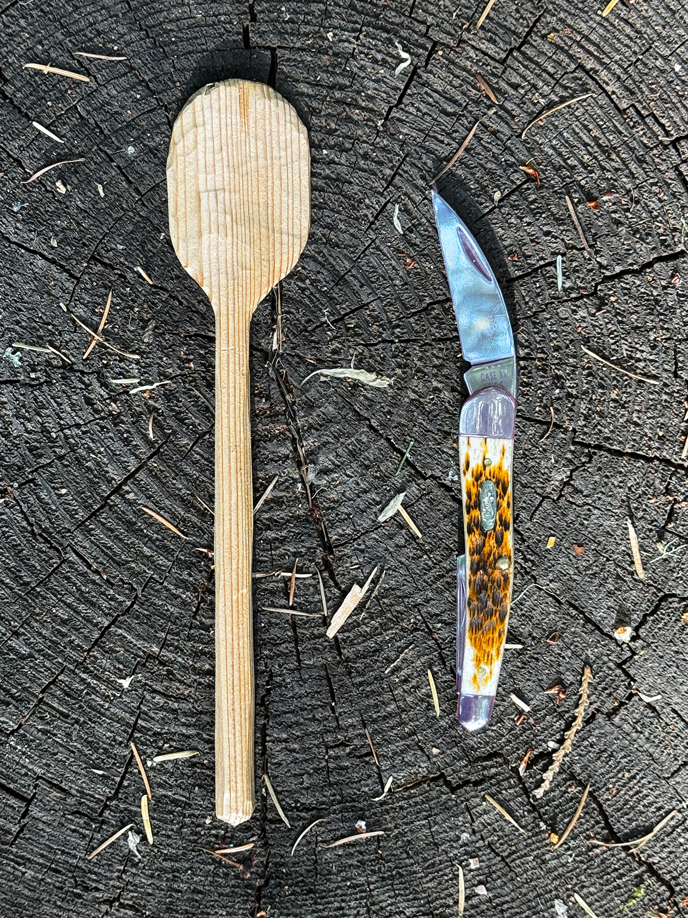 How to Carve a Simple Wood Spoon On Your Next Camping Trip