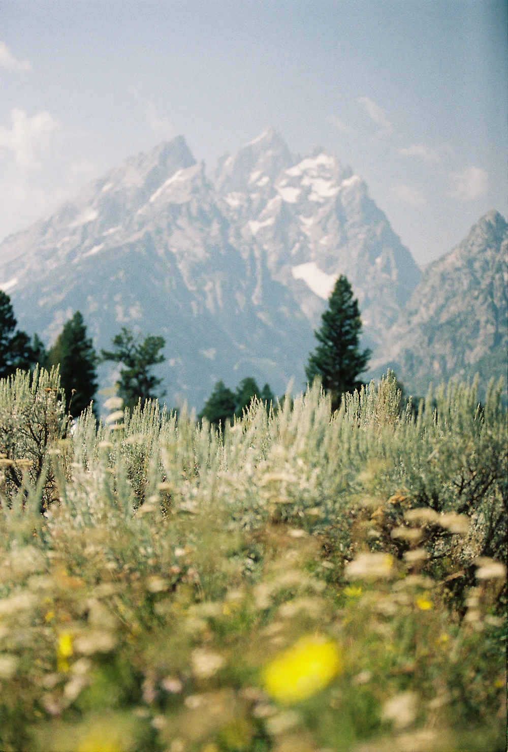 Natalie-Allen-6-Tetons