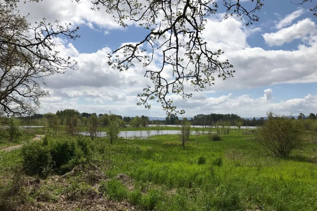 portland-hikes-oaks-to-wetlands