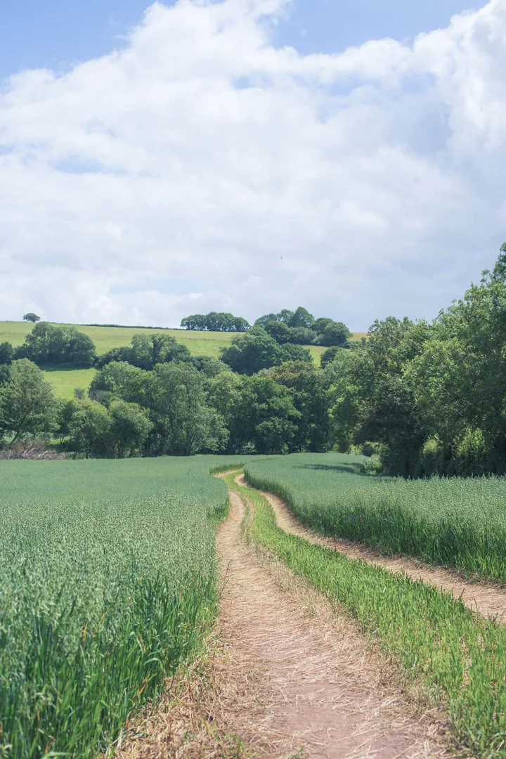 Holly-Water-Cabin-Devon-Out-of-the-Valley-10