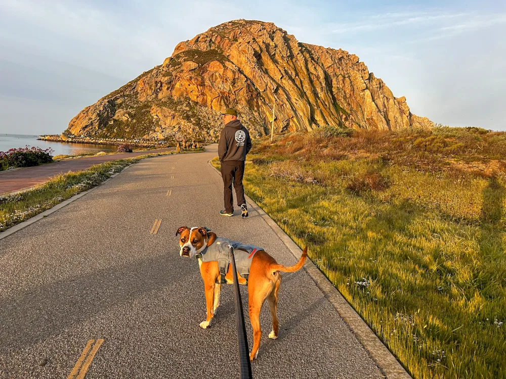 One Epic Road Trip Through California's Best State and National Parks