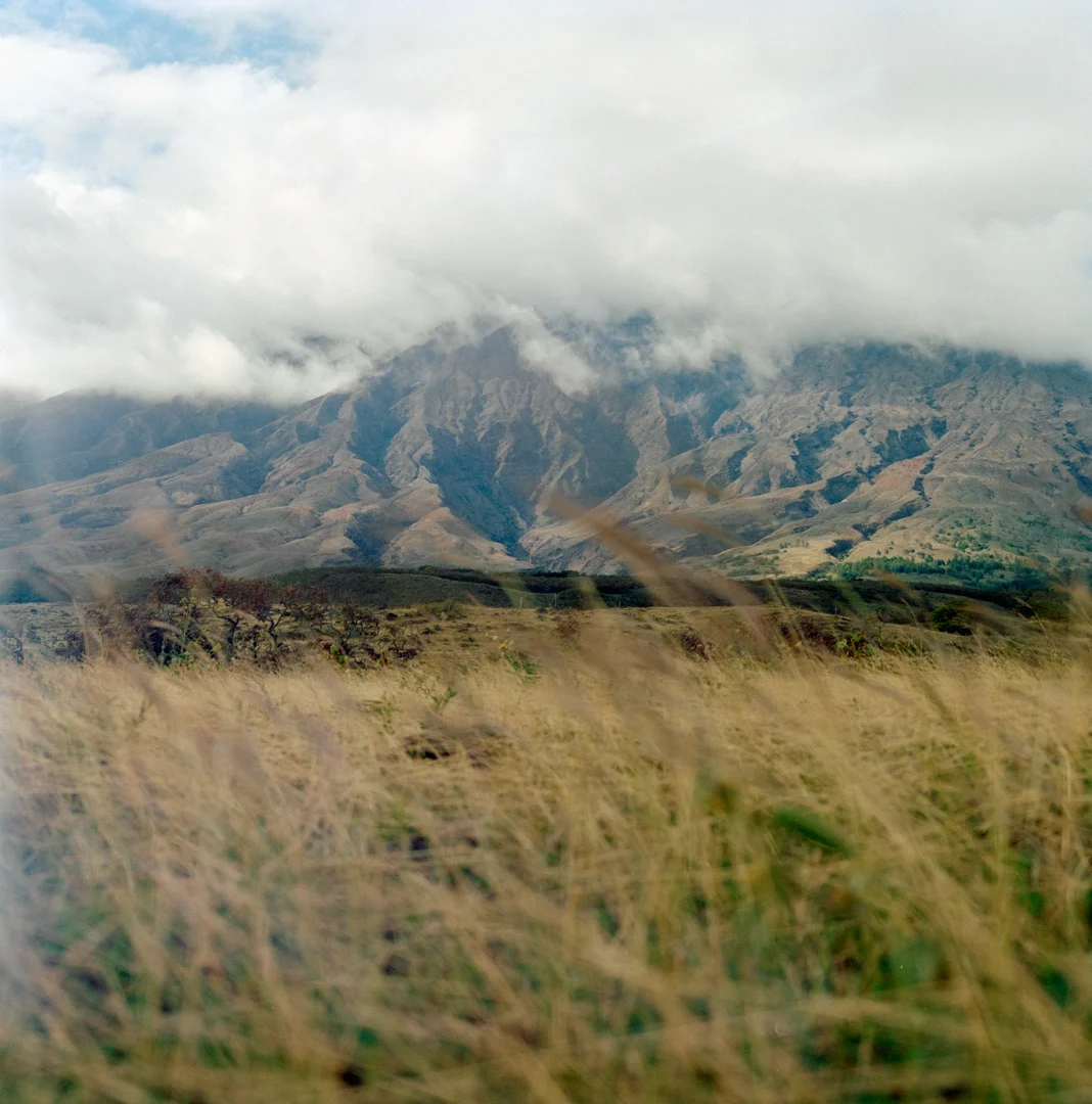 schultz-flogerg-maui-mountains