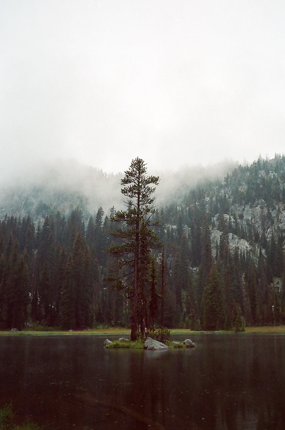 Hiemstra-Hike-2019-Elkhorns-Fieldmag-29