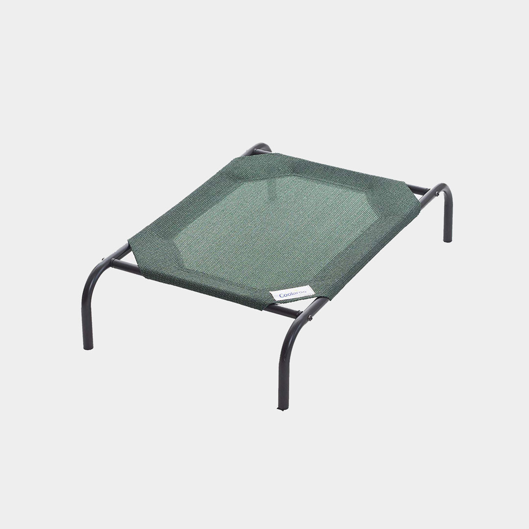 The 10 Best Dog Beds for Outdoor Lovers 2024 Field Mag