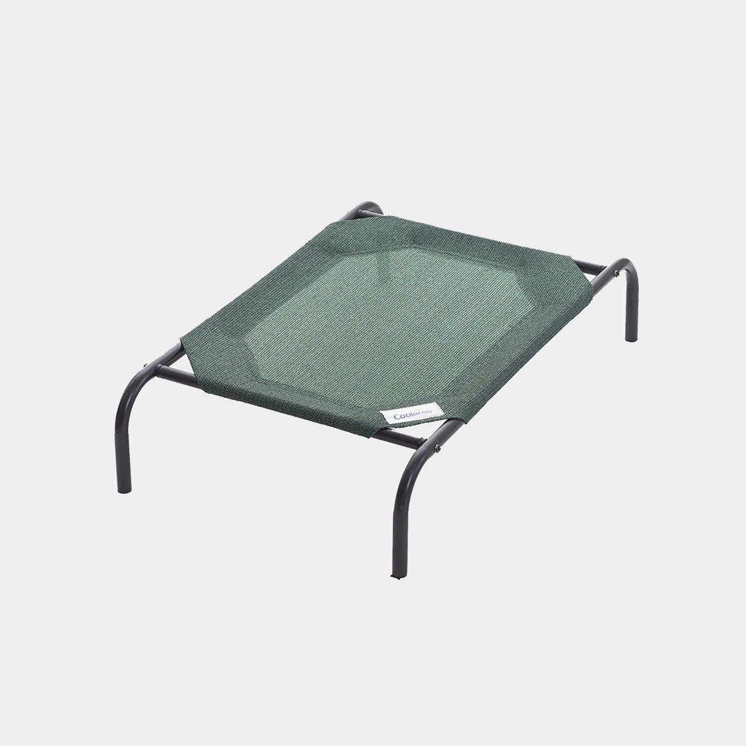 dog-beds-coolaroo-elevaed-pet-bed
