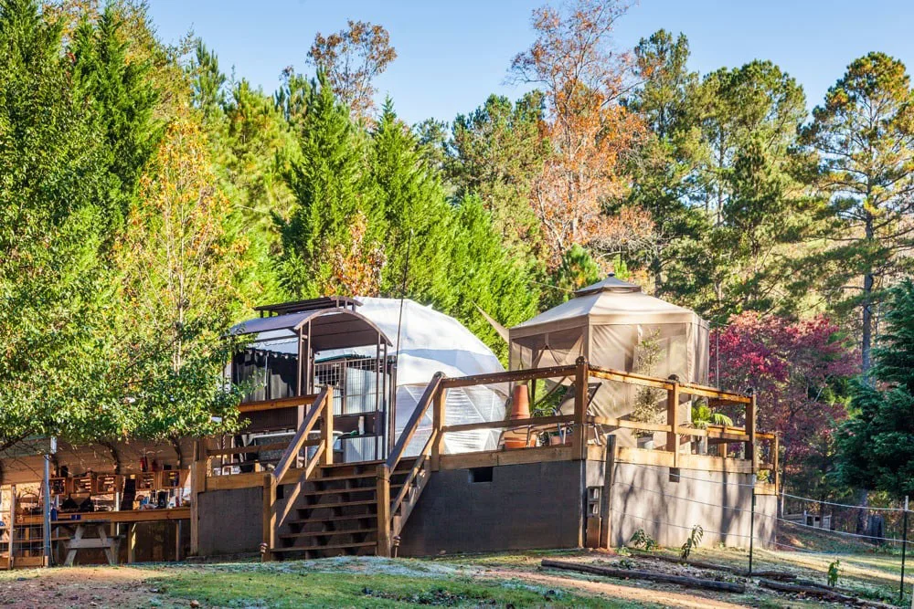 glamping-georgia-geodome