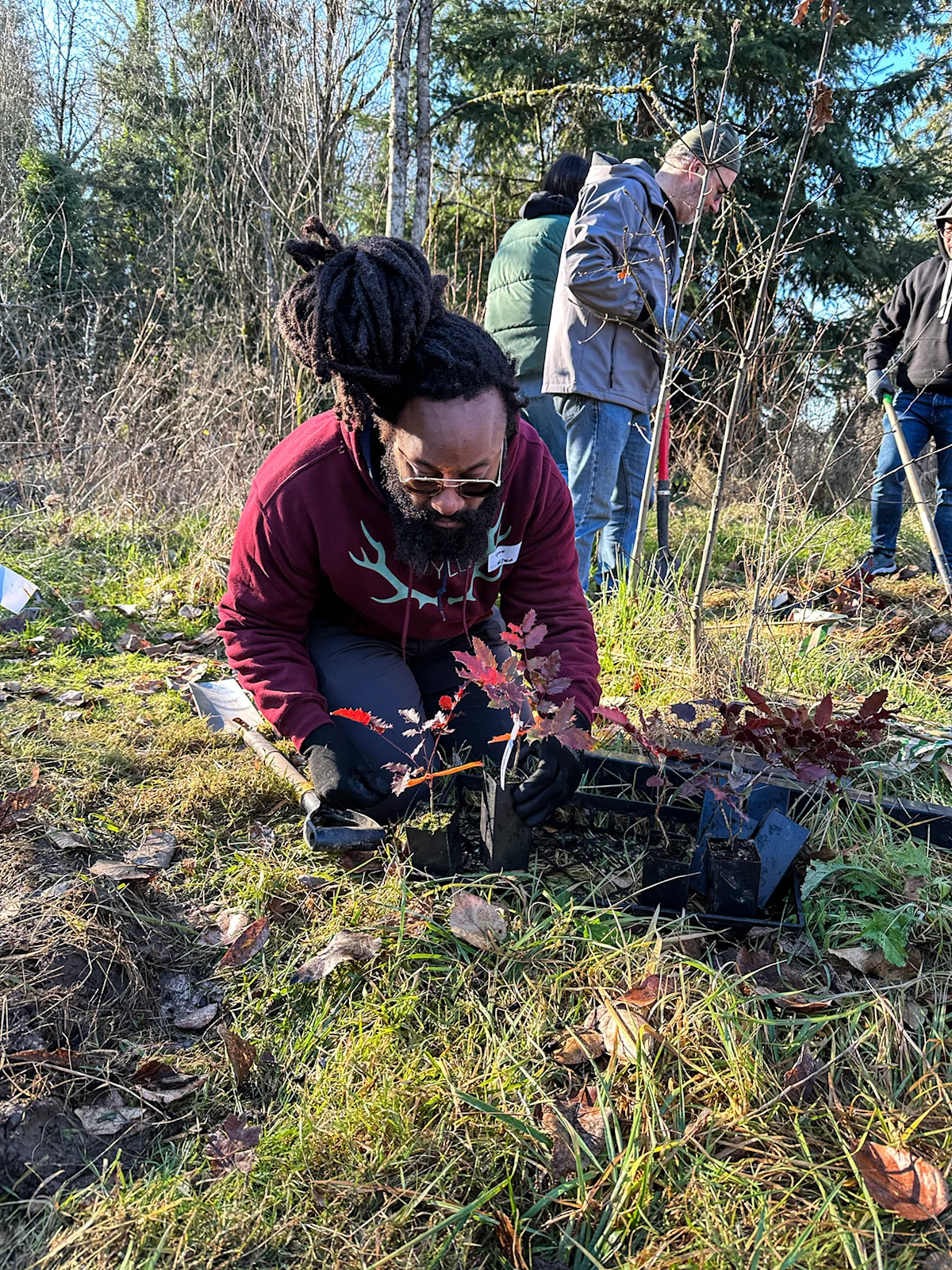 wyld-cannabis-conservation-planting-2