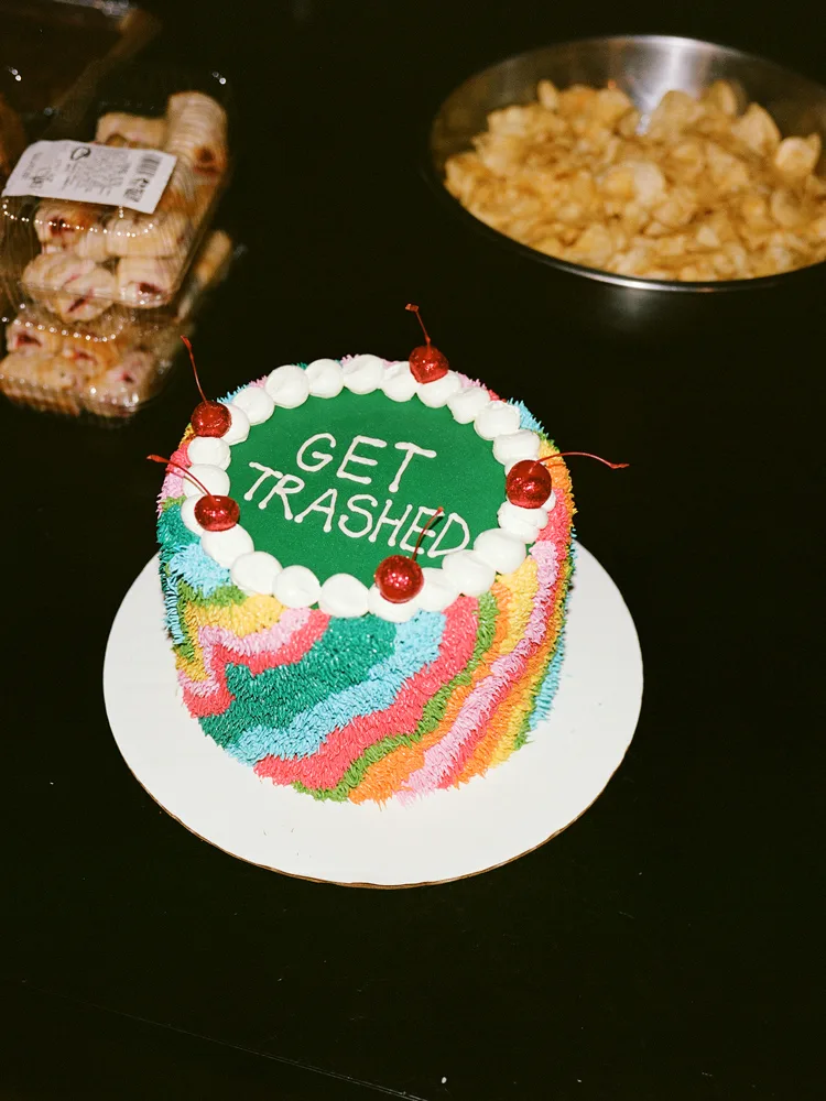 housefly-get-trashed-cake