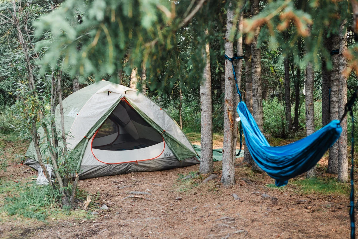 karthika-gupta-denali-camping-teklanika
