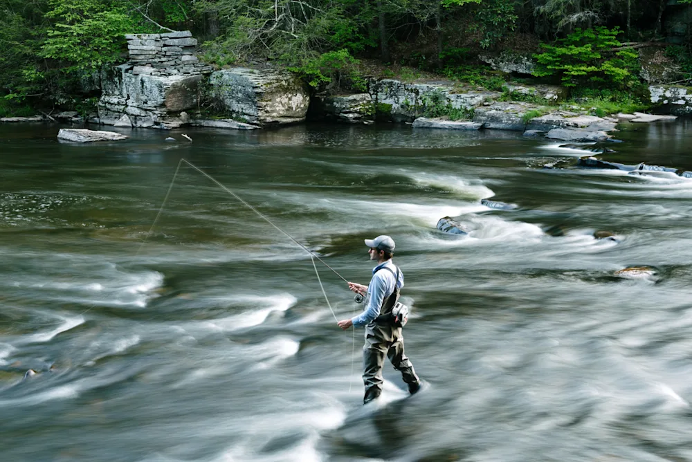 Fly Fishing Gear Essentials: A Guide for Beginner & Seasoned Fishers