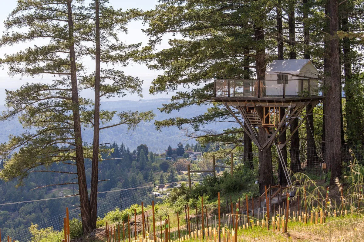 ca-glamping-treehouse-exterior-edited