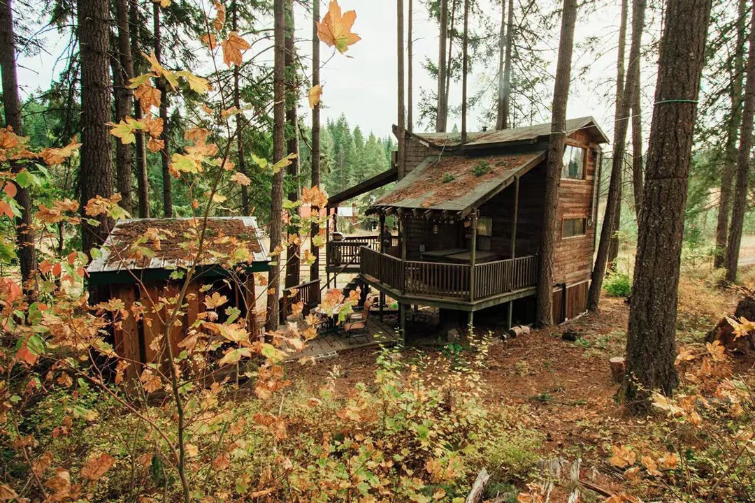 tranquil-a-tree-white-salmon-washington-cabin