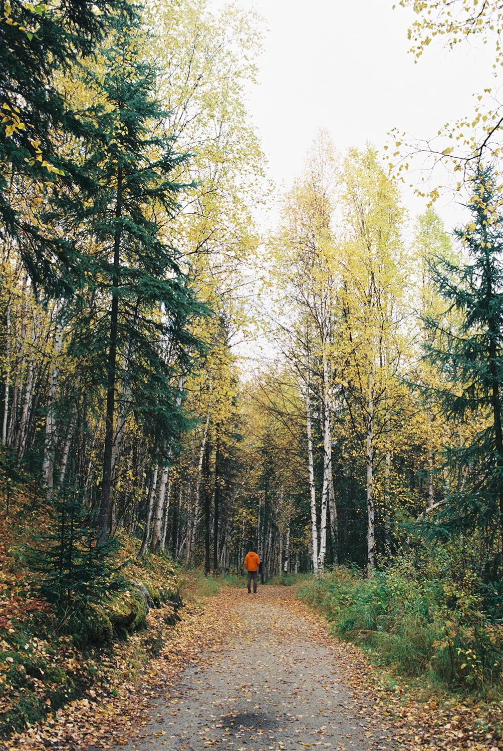 Upchurch-Alaska-Fall-18