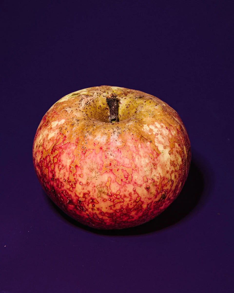 odd-apples-william-mullan-knobbed-space