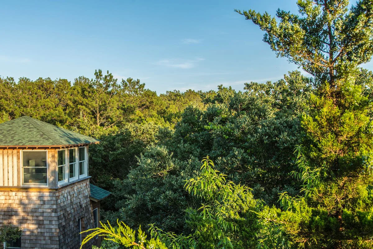 nc-treehouses-treefrog-tower-exterior