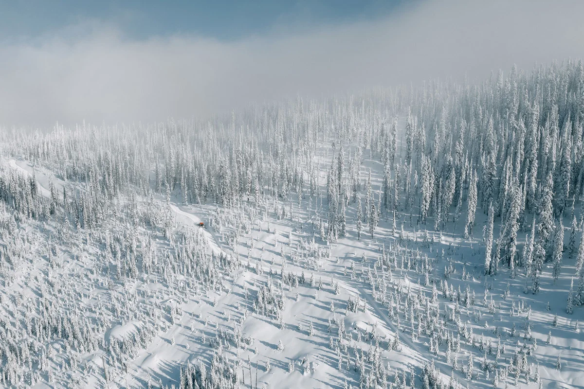 taylor-burk-powder-highway-BigRedCatSkiing4