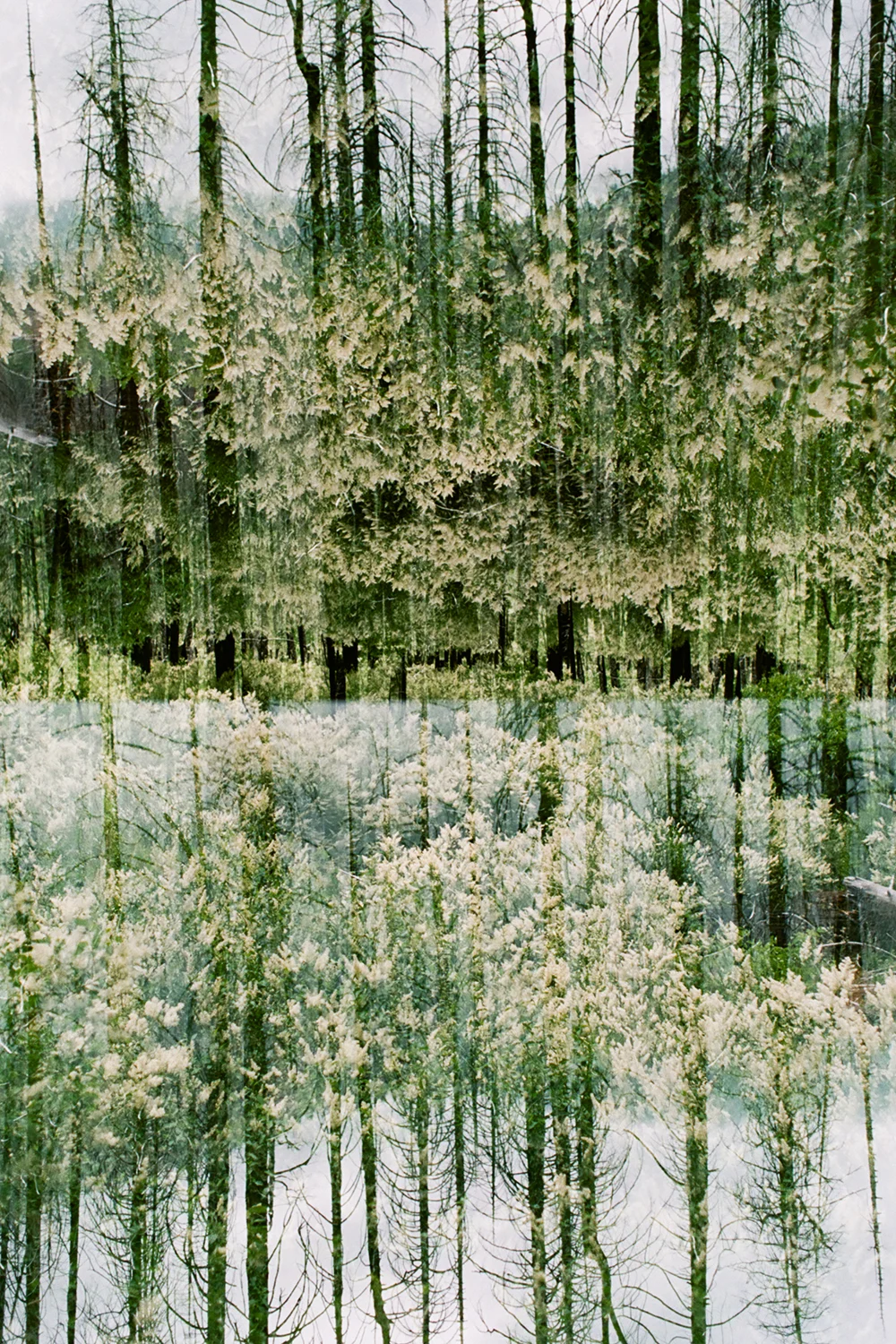 How to Shoot Double Exposure Photos on 35mm Film | Field Mag