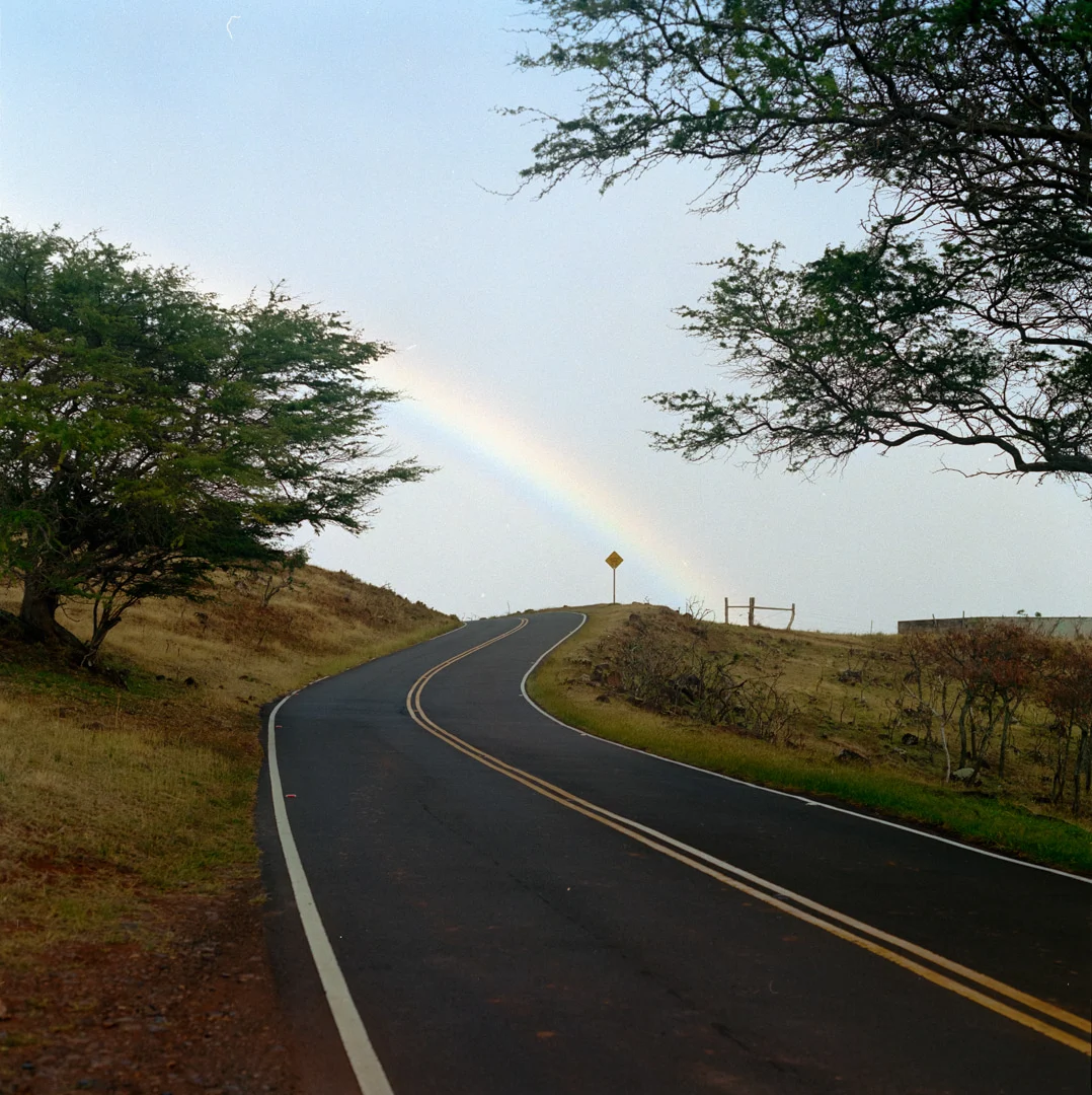 schultz-flogerg-maui-rainbow