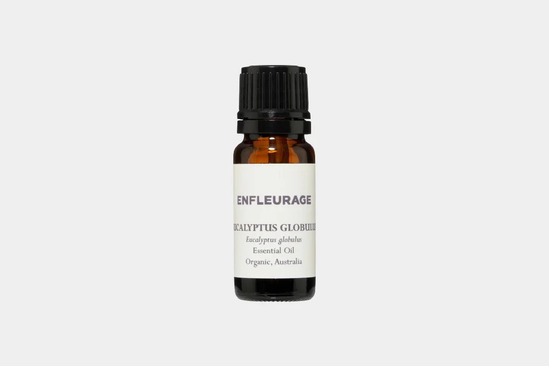 enfleurage-eucalyptus-essential-oil
