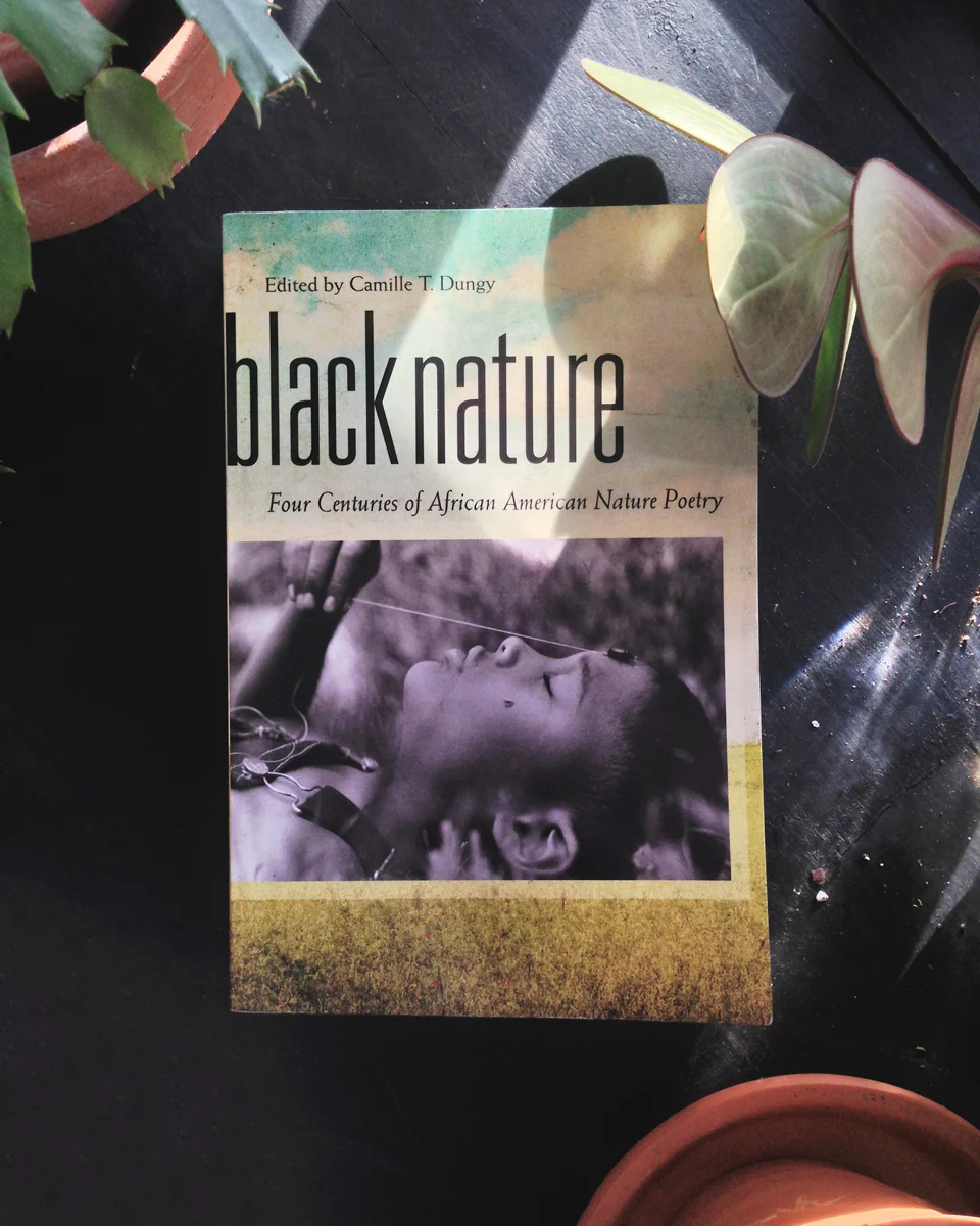 black-nature-bipoc-reading-list-fieldmag