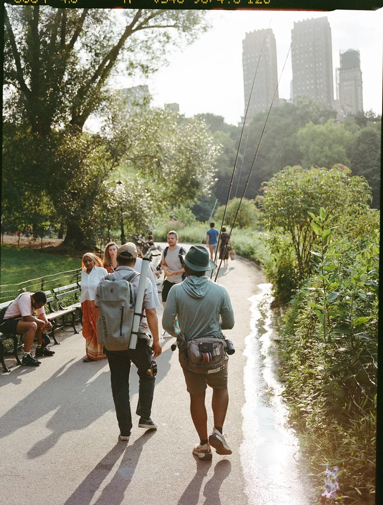 carp-in-the-park-path