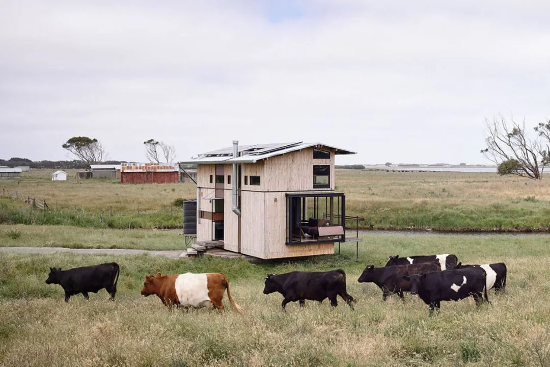 brook-tiny-house-australia-small-cows