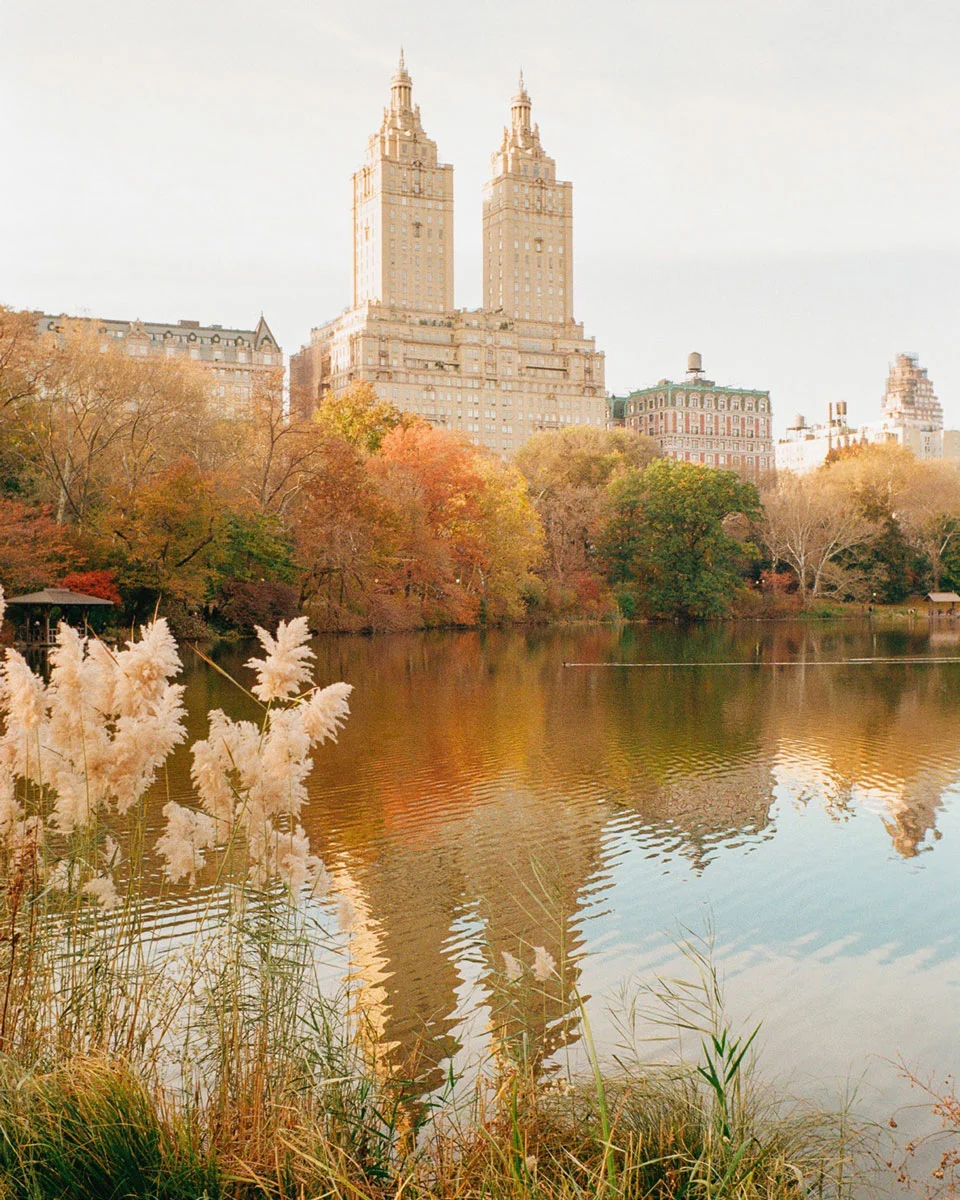 joe-greer-interview-nyc-pond