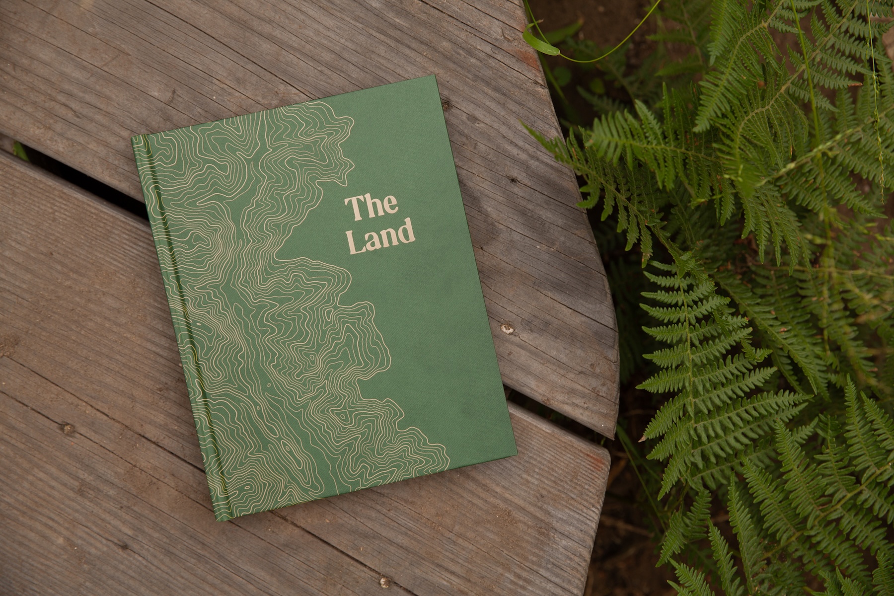 How a DIY Cabin Project Turned into a Book About Building & Community